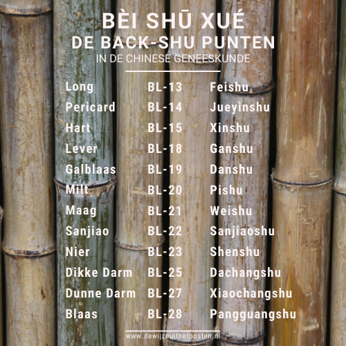 BÈI SHŪ XUÉ: BACK-SHU PUNTEN